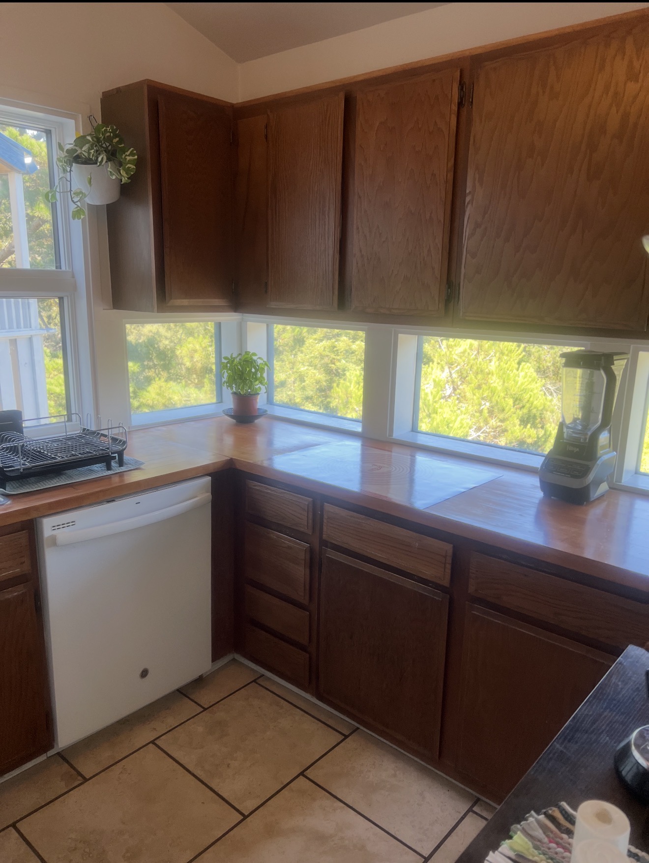 Kitchen cabinet repaint before — Michael Douglas Make Ready