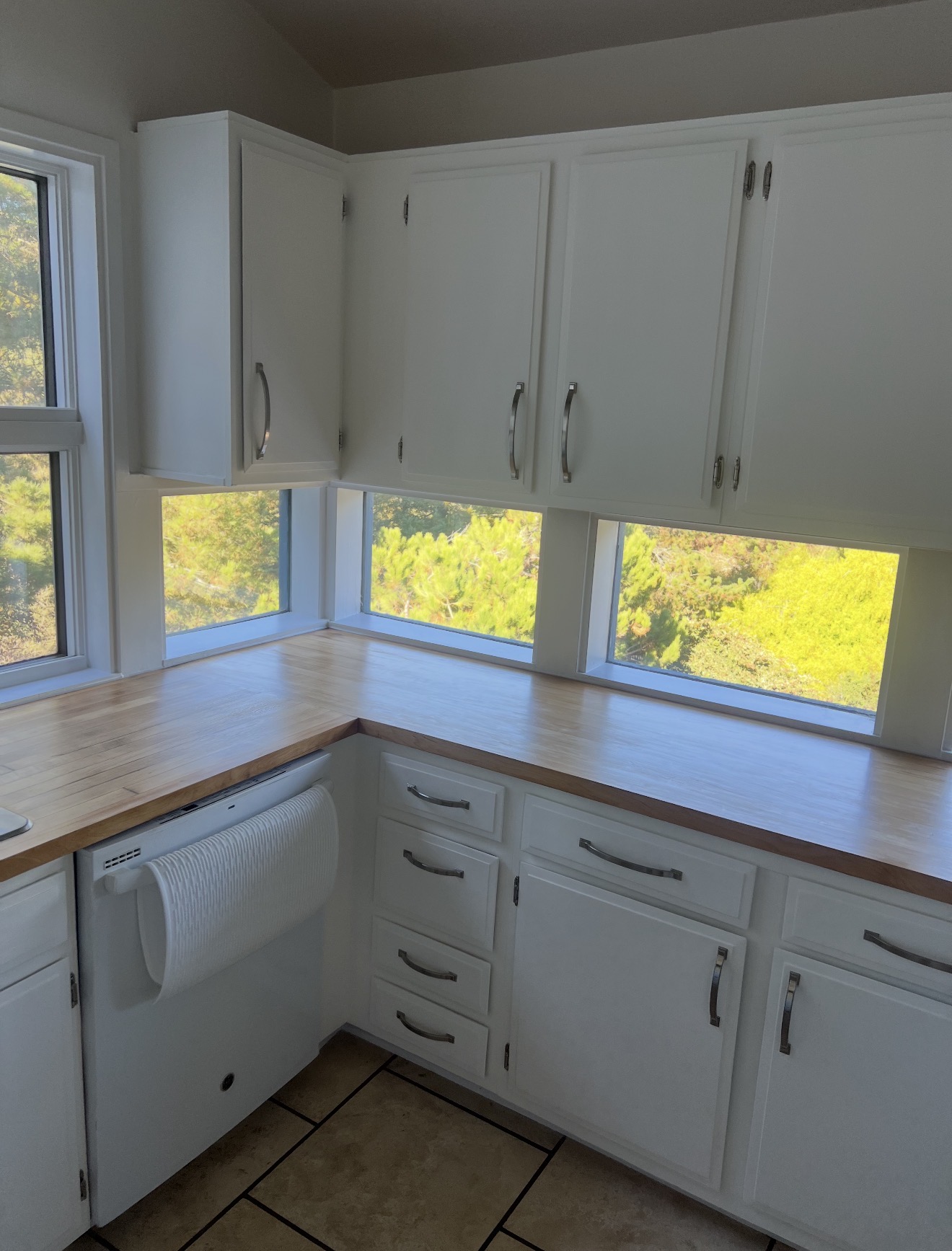 Kitchen cabinet repaint after — Michael Douglas Make Ready